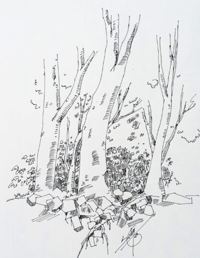 These sketches are typically quick, informal, and done with minimal details, aiming to capture the essence of the subject rather than creating a polished representation. These sketches are done using various materials, such as pencils, charcoal, pens, or markers. The choice of medium often depends on the artist's preference and the desired outcome.